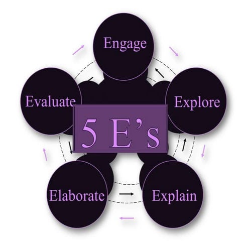 The 5 es