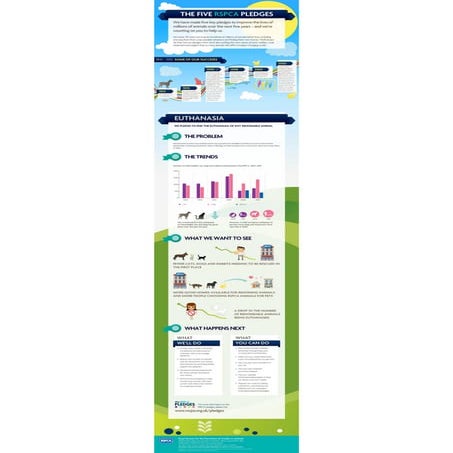 RSPCA -  5 pledges: Euthanasia