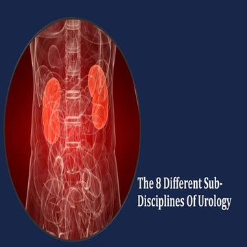 The 8 different sub disciplines of urology