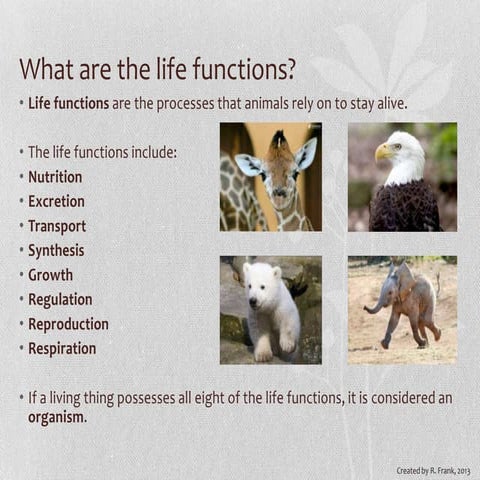 The 8 Life Processes &amp; Homeostasis - Living Environment/Biology