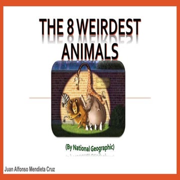 The 8 weirdest animals