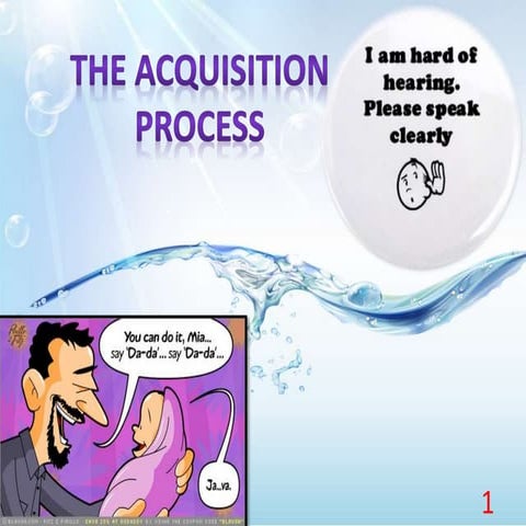 The acquisition process