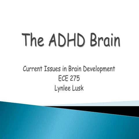 The adhd brain