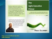 The agile executive primer