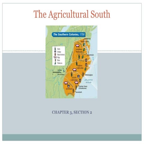 The Agricultural South   Chapter 3, Section 2