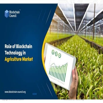 The Effect of the Agriculture Market on Blockchain Technology