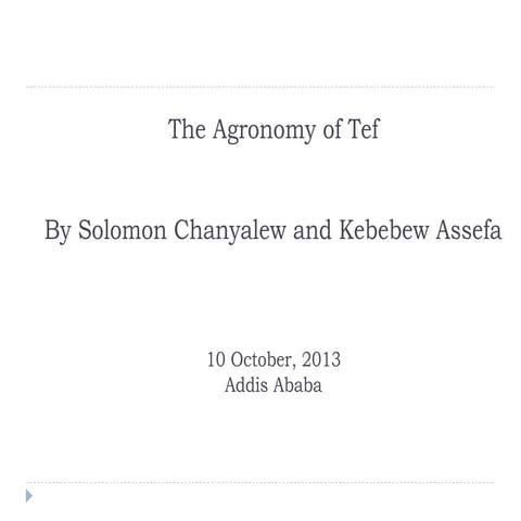 The Agronomy of Tef