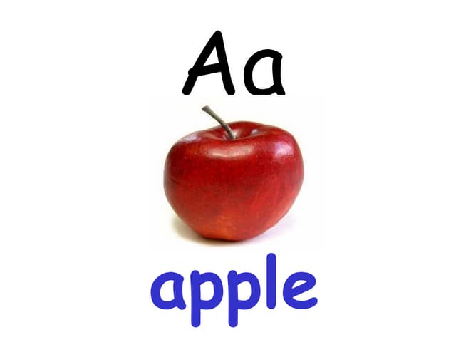 The Alphabet.New