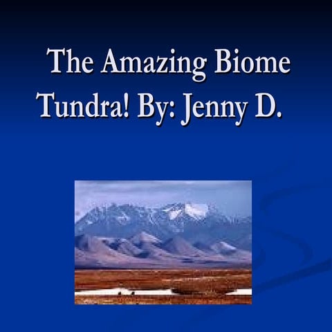 The Amazing Biome ,Tundra!Dillon