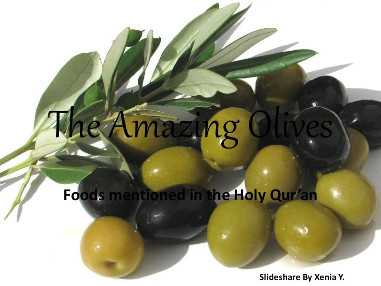 The Amazing Olives Foods mentioned in the qur'an