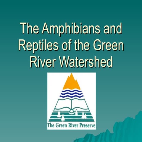 The Amphibians and Reptiles of the Green River Watershed | PPT