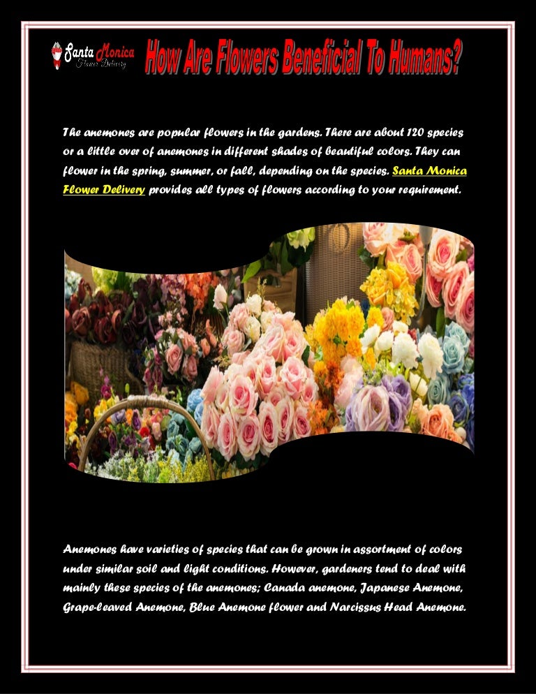 How Are Flowers Beneficial to Humans?