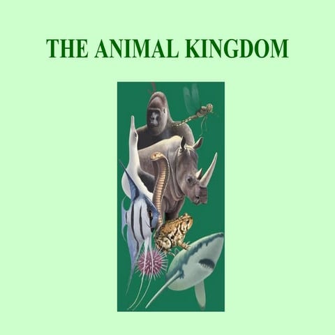 The animal kingdom