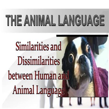 THE different ANIMAL LANGUAGE presentations | PPT