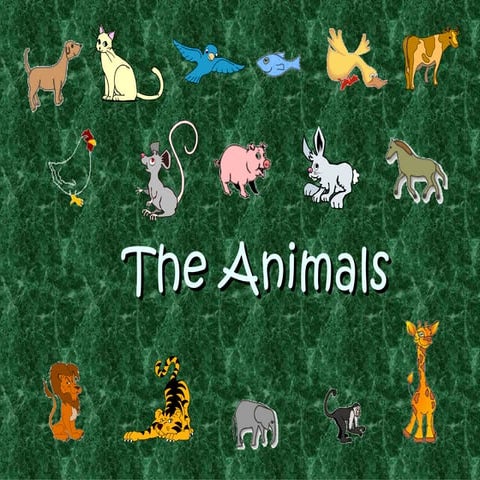 The animals