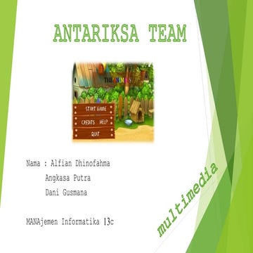  GAME FLASH THE ANIMALS MI13C