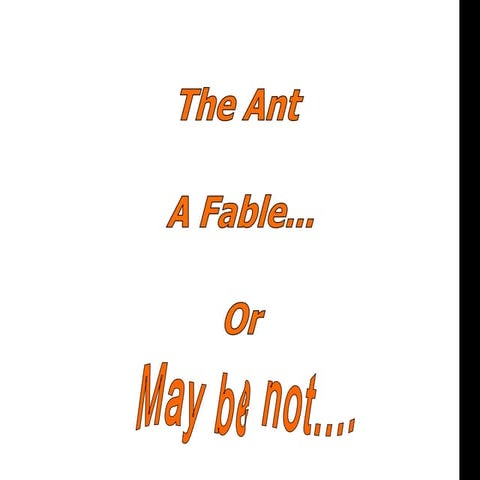 The ant