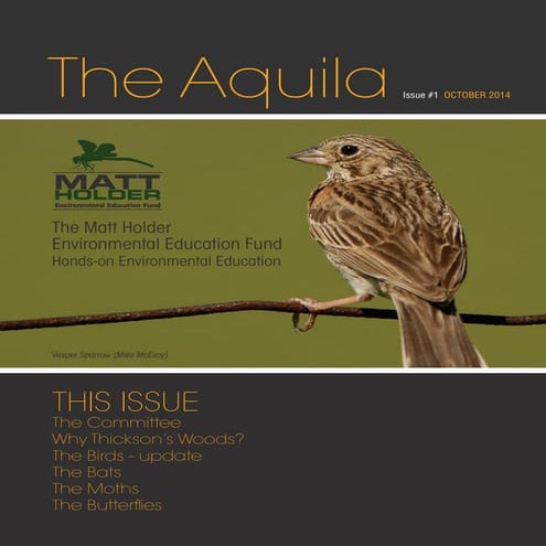 The aquila#1