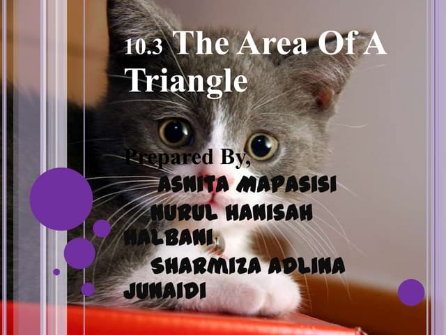 The area of A Triangle