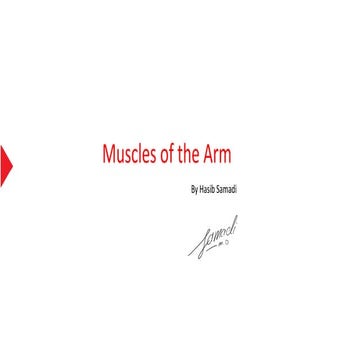 muscles the arm, anatomy 