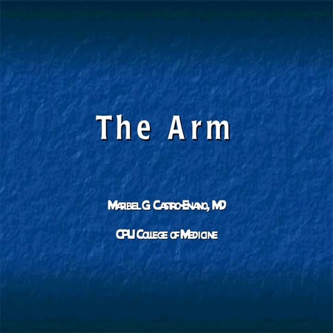The arm1