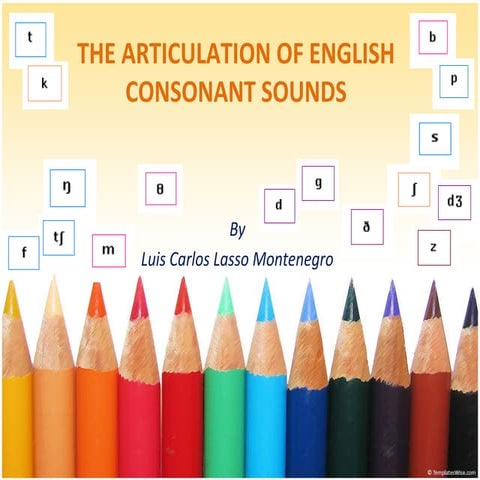 The articulation of consonant sounds