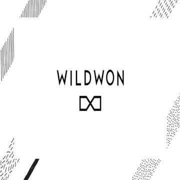 The Art of Experience Design | Peer Academy