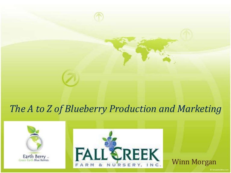 The A to Z of Blueberry Production and Marketing