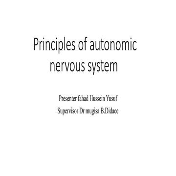 The autonomic system ppt presentation.pptx
