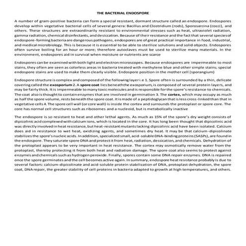 The bacterial endospore