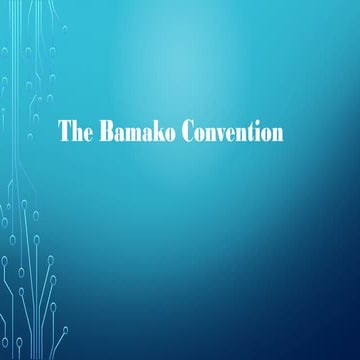 The bamako convention PPT