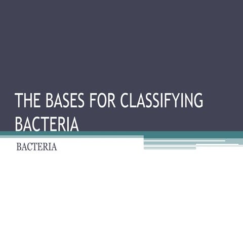 The bases for classifying bacteria