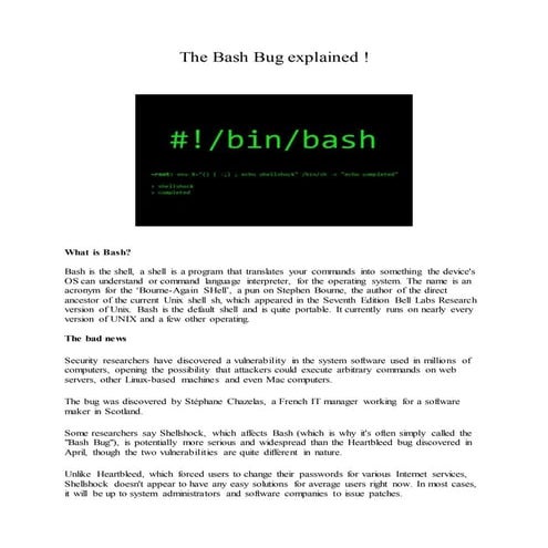 The Bash Bug explained !