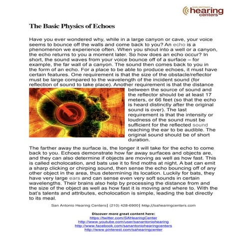 The Basic Physics of Echoes