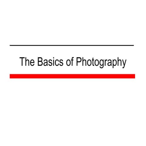 The basics of photography 