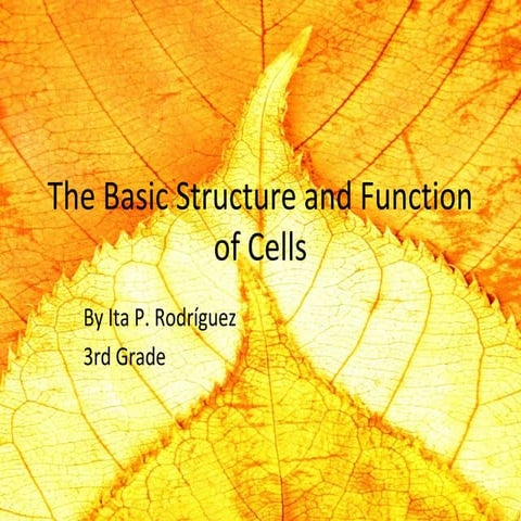 The basic structure and function of cells