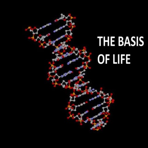 Thebasisoflife