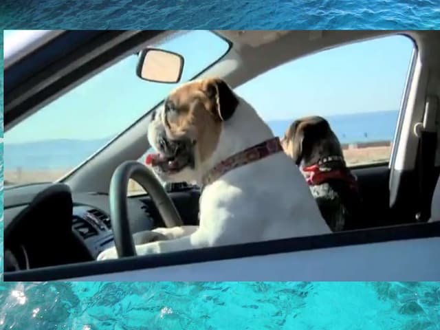 The beach vocabulary ppt