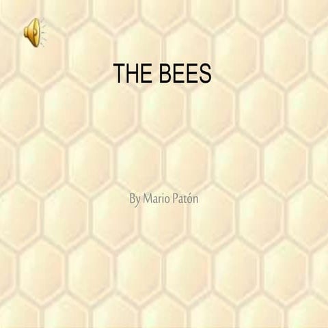 The bees