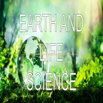 The Beginning of the Universe