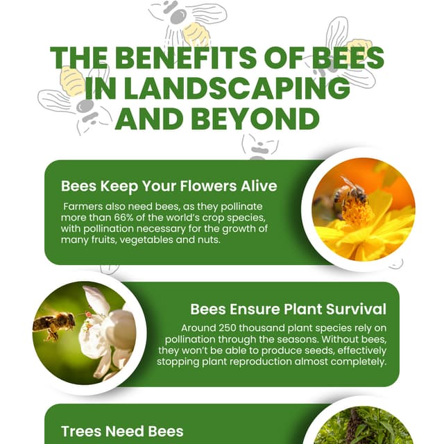 The Benefits of Bees In Landscaping and Beyond PDF