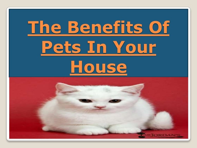 The Advantages Of Pets in Your House
