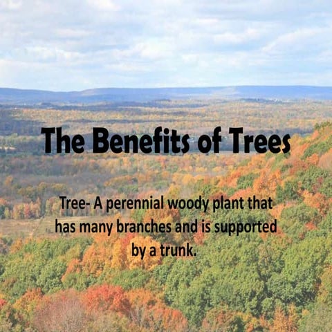 The Benefits Of Trees Non Linear Power Point