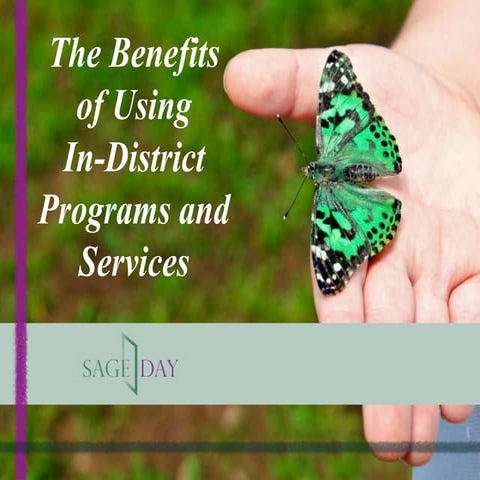 The Benefits of Using In-District Programs and Services