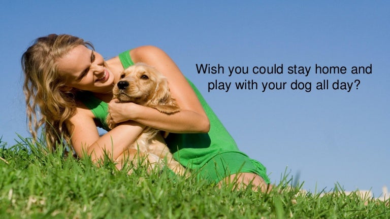 hugs and kisses doggie daycare