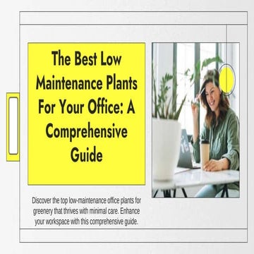 The Best Low Maintenance Plants For Your Office A Comprehensive Guide.pptx