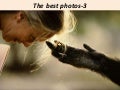 The Best Photos 3