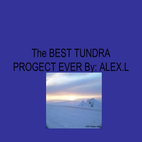 The Best Tundra Progect Ever Lott
