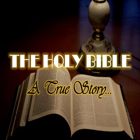 The Bible: A True Story
