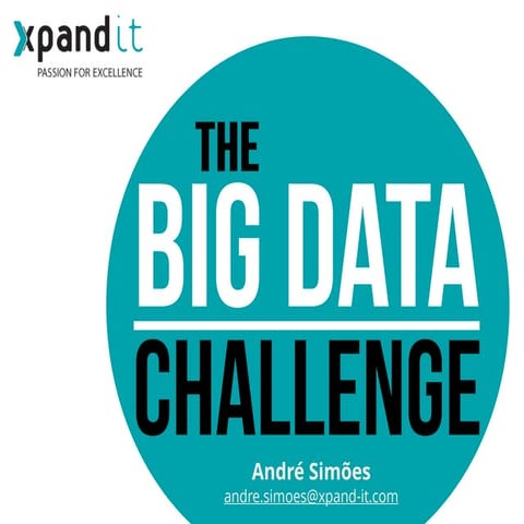 Big Data Challenge
